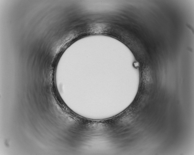 X0000103930730200810171751