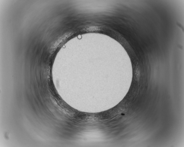 X0000103930732200810171751