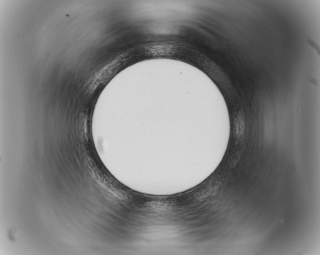 X0000103930733200810171751