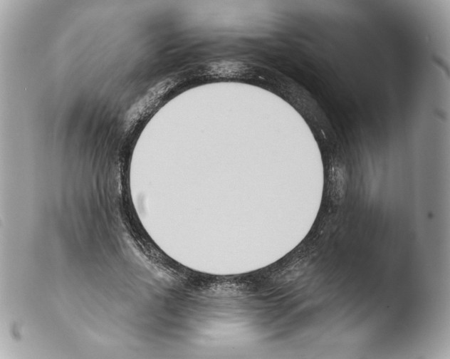 X0000103930734200810171751