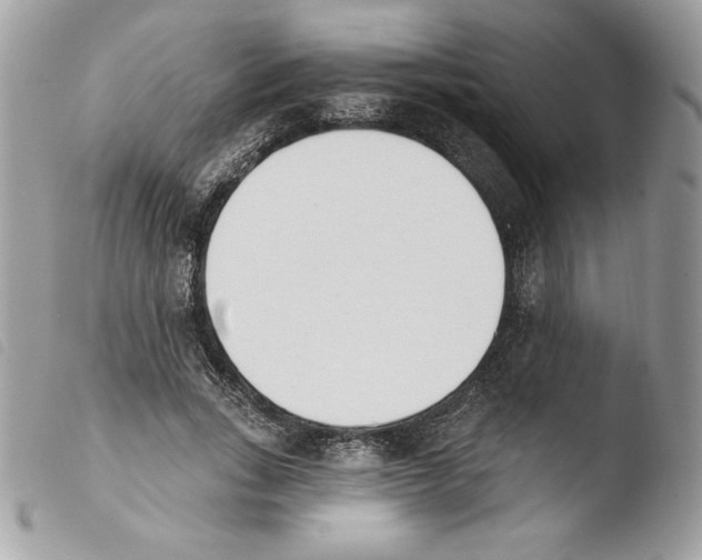 X0000103930735200810171751