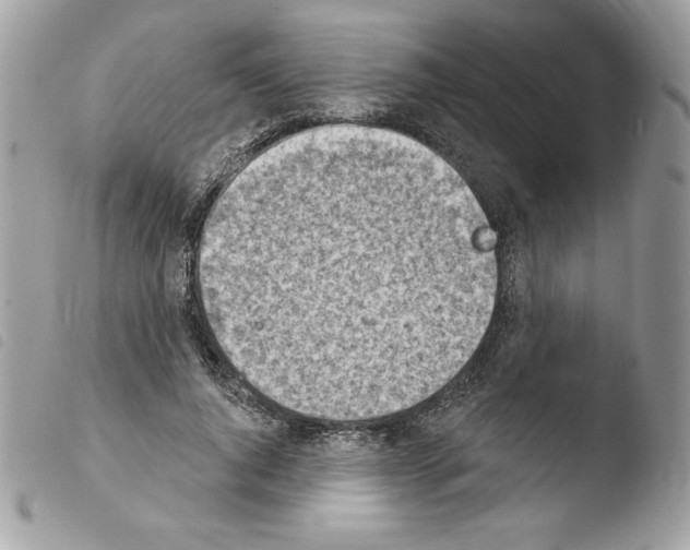 X0000103930736200810171751