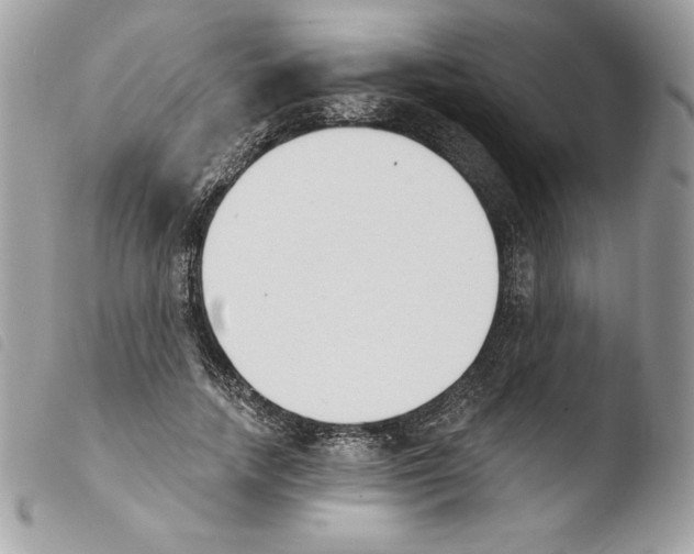 X0000103930738200810171751