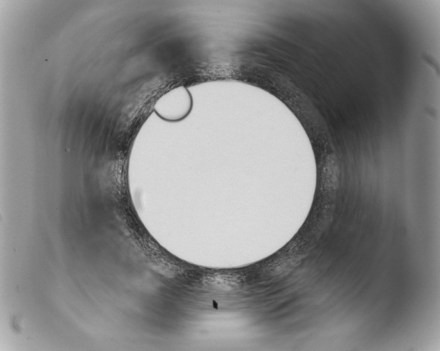 X0000103930739200810171751