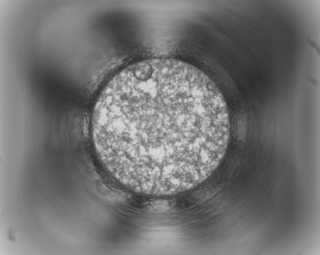 X0000103930740200810171751