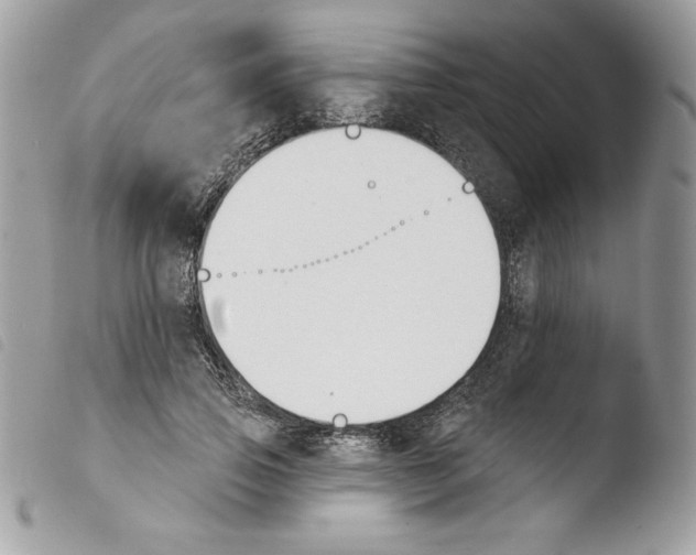 X0000103930741200810171751