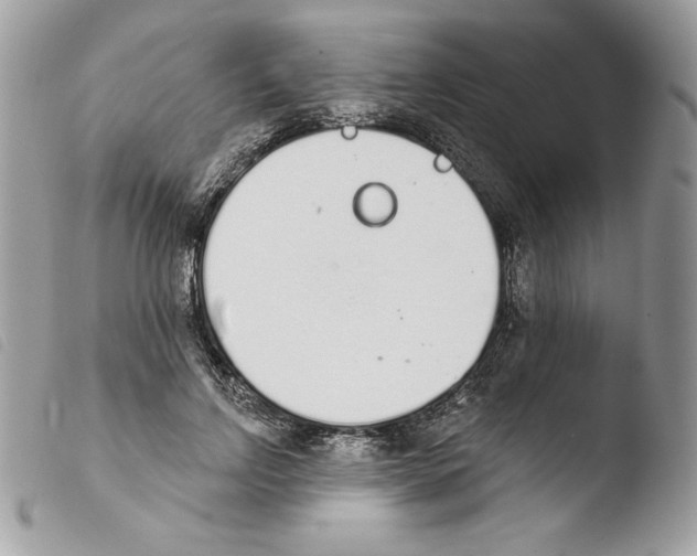 X0000103930742200810171751