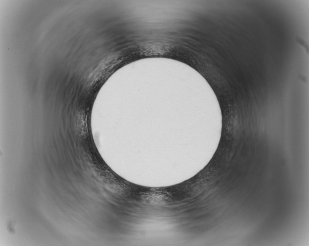 X0000103930743200810171751