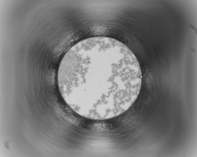 X0000103930744200810171751