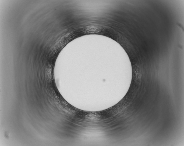 X0000103930745200810171751