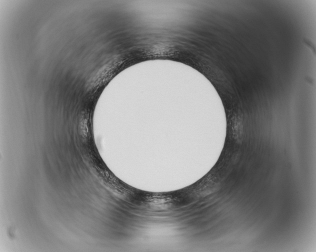 X0000103930746200810171751