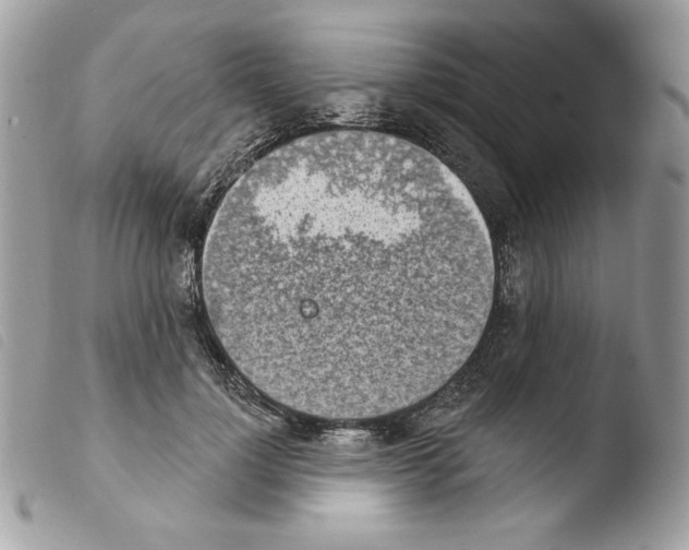 X0000103930748200810171751