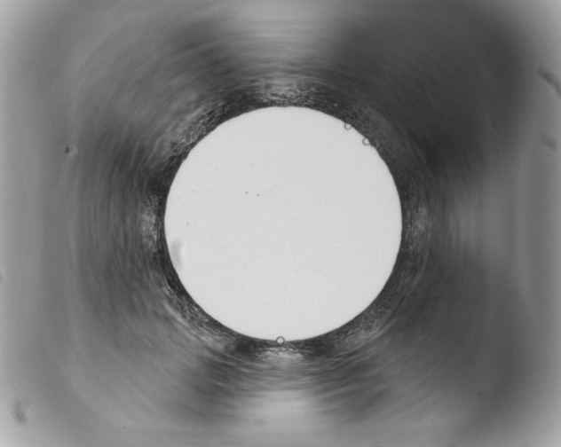 X0000103930749200810171751