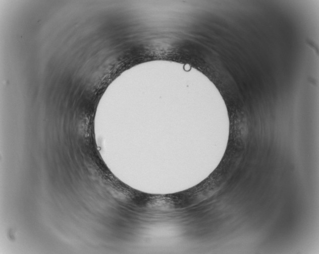 X0000103930750200810171751