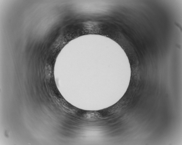 X0000103930752200810171751