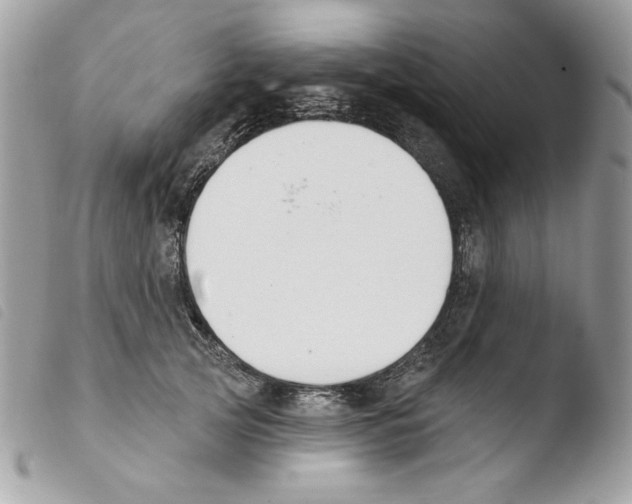 X0000103930753200810171751