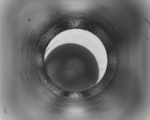 X0000103930754200810171751