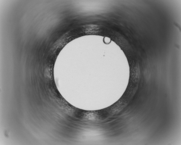 X0000103930755200810171751