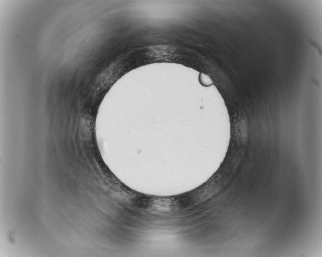 X0000103930757200810171751