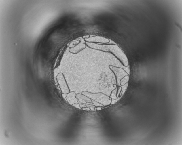 X0000103930762200810171752