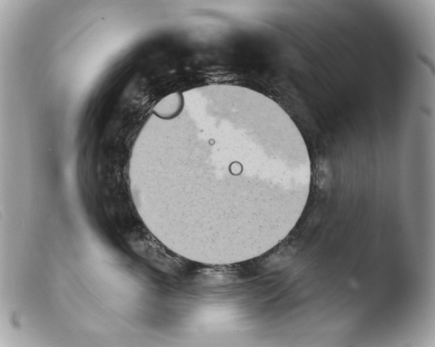 X0000103930763200810171752