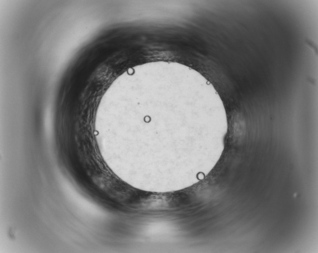 X0000103930764200810171752