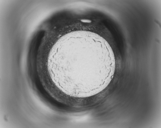 X0000103930765200810171752