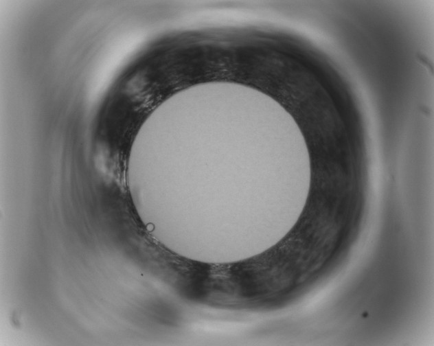 X0000103930766200810171752