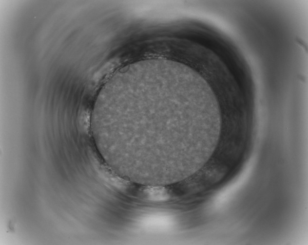 X0000103930767200810171752