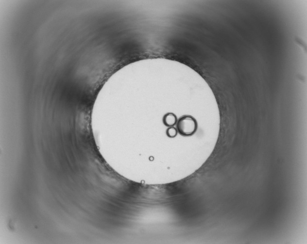 X0000103930768200810171752