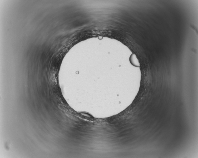 X0000103930770200810171751