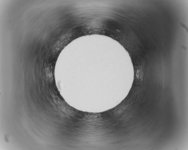 X0000103930771200810171751