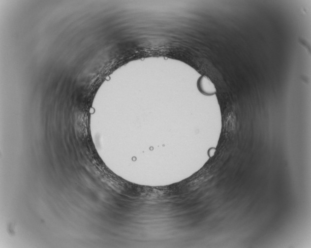 X0000103930772200810171751