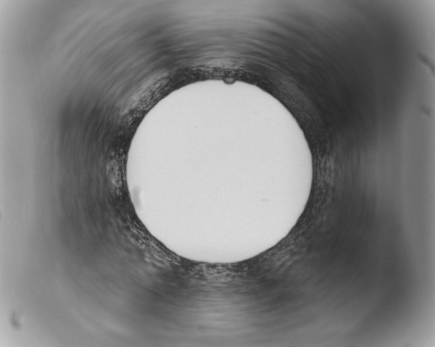 X0000103930774200810171751