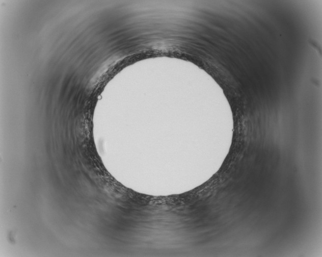 X0000103930776200810171751