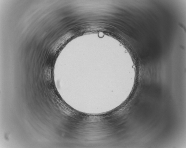 X0000103930777200810171751