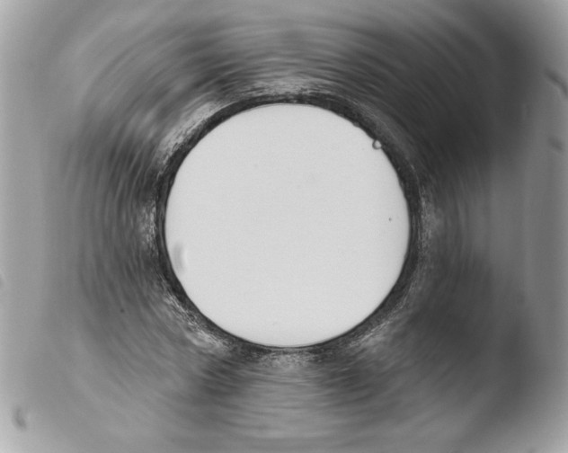 X0000103930778200810171751