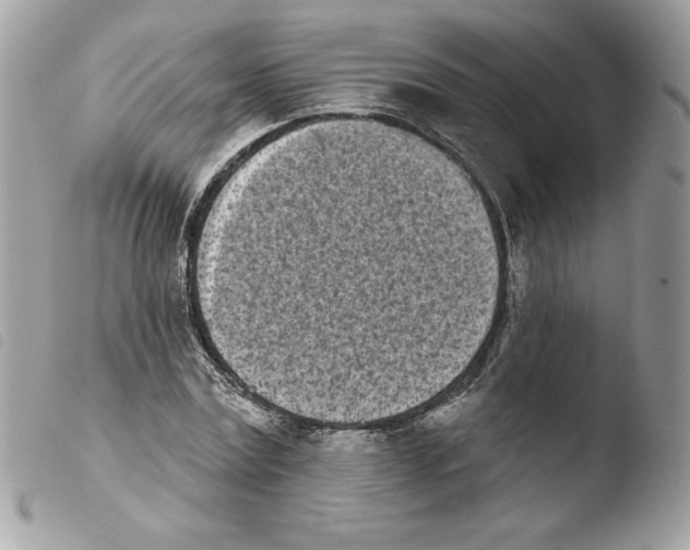 X0000103930779200810171751