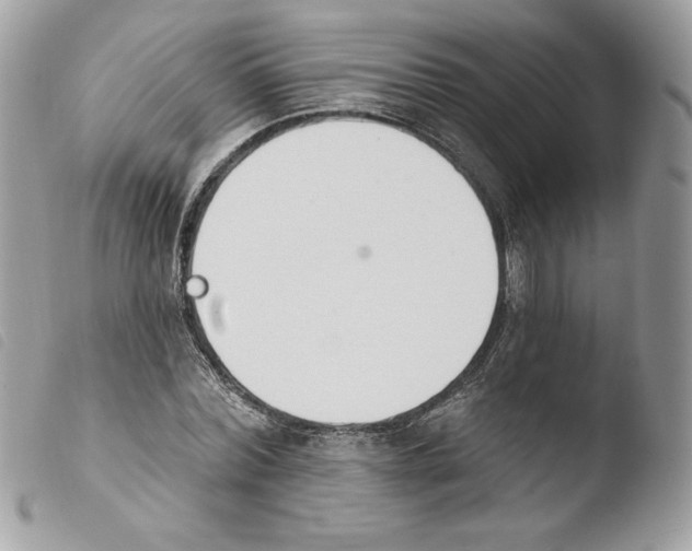 X0000103930780200810171751