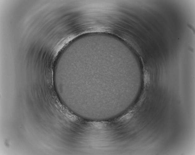 X0000103930781200810171751