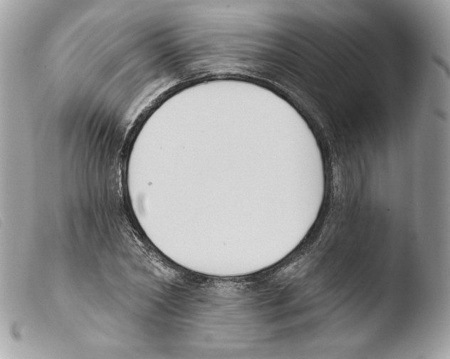 X0000103930782200810171751