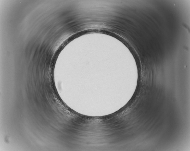 X0000103930783200810171751