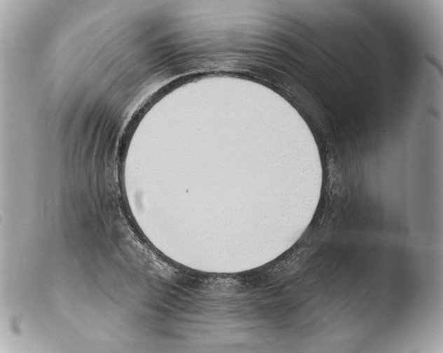 X0000103930784200810171751