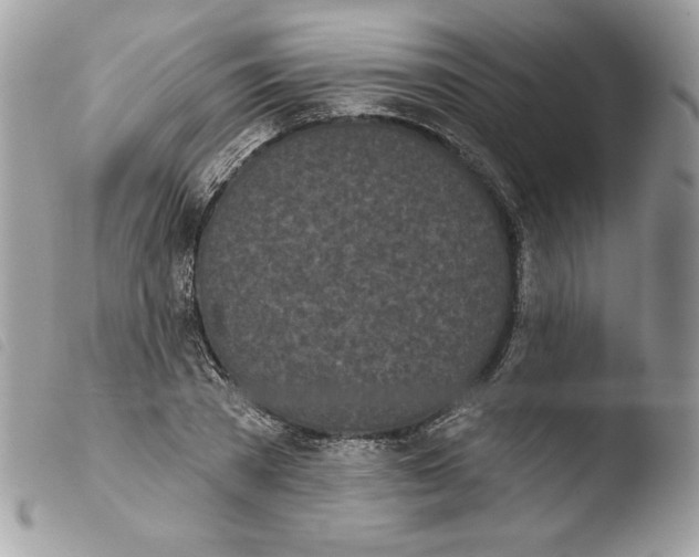 X0000103930785200810171751