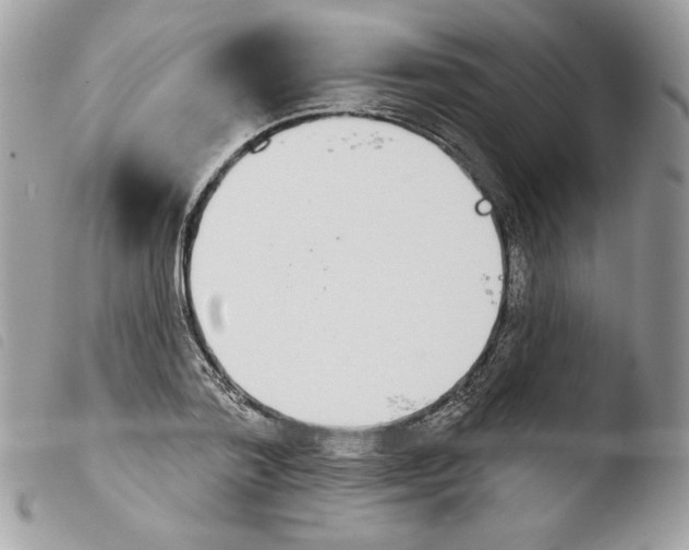 X0000103930788200810171751