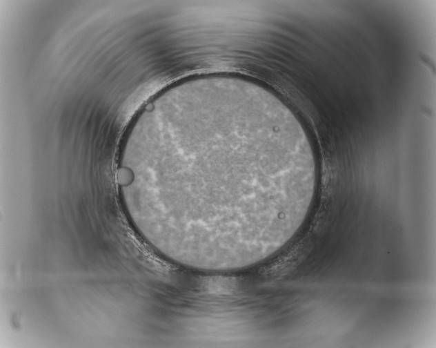 X0000103930789200810171751