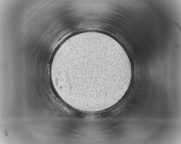 X0000103930790200810171751