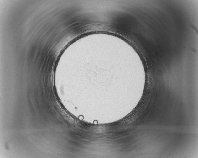 X0000103930791200810171751