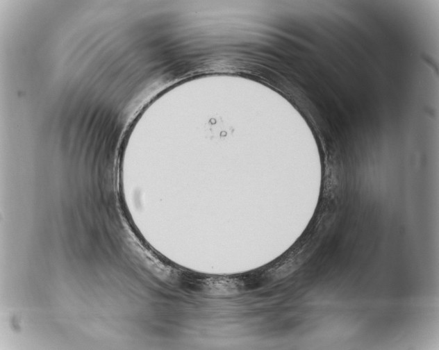 X0000103930795200810171751