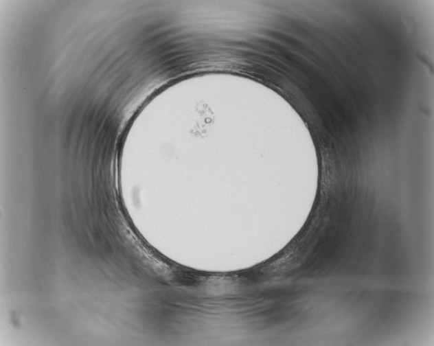 X0000103930796200810171750